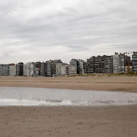 Near Dunes In Koksijde, Cleaning Included Apartment *