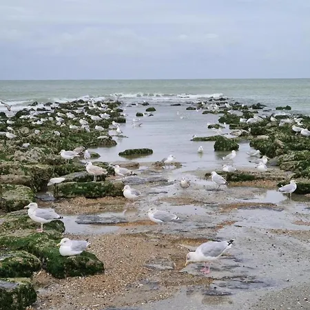 Near Dunes In Koksijde, Cleaning Included アパート コクセッド